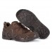 Черевики Lowa Zephyr MK2 GTX LO TF, Dark Brown