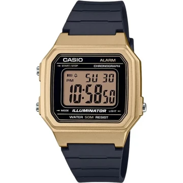 Годинник Casio W-217HM-9AVEF, Gold
