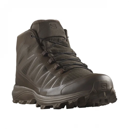 Кроссовки Salomon Speed Assault 2 GTX Earth Brown, Коричневый, UK 7.5 / EU 41⅓, 26см
