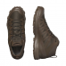 Кроссовки Salomon Speed Assault 2 GTX Earth Brown, Коричневый, UK 7.5 / EU 41⅓, 26см