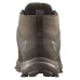 Кроссовки Salomon Speed Assault 2 GTX Earth Brown, Коричневый, UK 7.5 / EU 41⅓, 26см