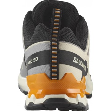 Кроссовки Salomon XA PRO 3D V9, Beige/Black