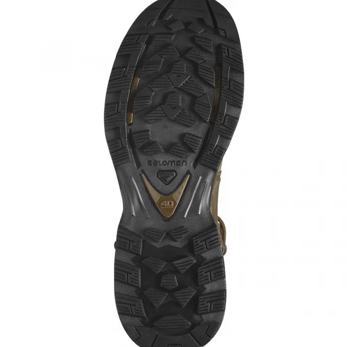 Ботинки Salomon Quest 4D Forces 2 High GTX EN Earth Brown, Коричневый, UK 8 / EU 42, 26см Ботинки Salomon Quest 4D Forces 2 High GTX EN Earth Brown, Коричневый, UK 8 / EU 42, 26см