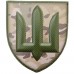 Нарукавний знак ЗСУ Загальновійськовий сухопутних військ