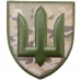 Нарукавный знак ВСУ Общевоенный сухопутных войск