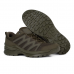 Черевики "LOWA® Innox PRO LO TF" Ranger Green