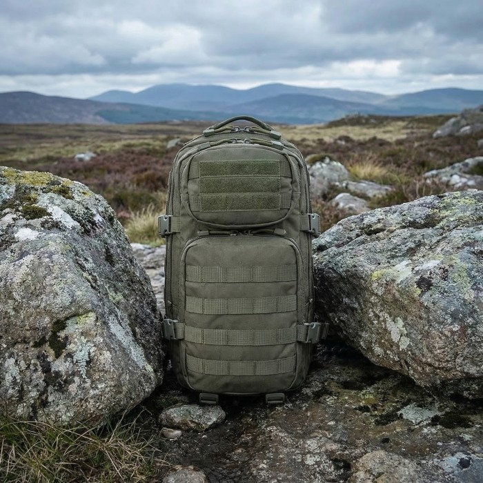 Рюкзак тактичний M-Tac Assault Pack 20L, Olive Рюкзак тактичний M-Tac Assault Pack 20L, Olive