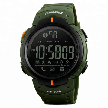 Смарт-часы Skmei 1301 Olive