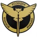 Настенный герб Военная разведка ВСУ МДФ, Желтый