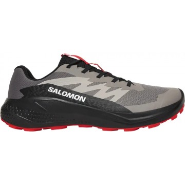 Кросівки Salomon ALPHAGLIDE, Shadow Grey/ Black