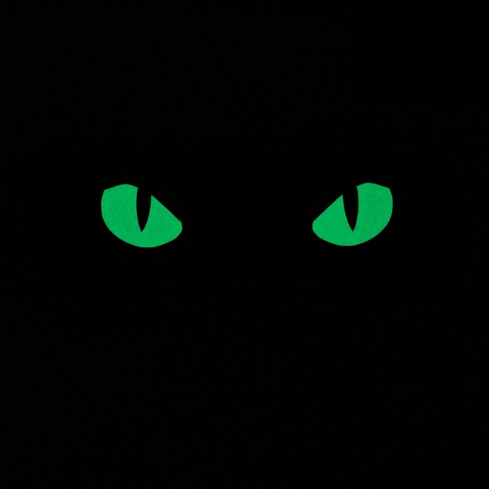 M-Tac нашивка Cat Eyes (Type 2) Laser Cut Ranger Green/GID M-Tac нашивка Cat Eyes (Type 2) Laser Cut Ranger Green/GID