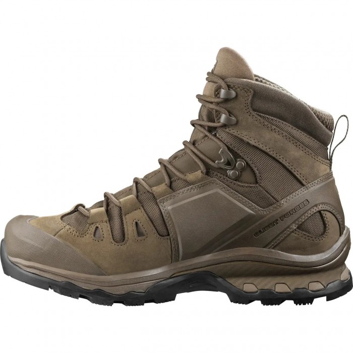 Ботинки Salomon QUEST 4D GTX Forces 2 EN, Brown Ботинки Salomon QUEST 4D GTX Forces 2 EN, Brown