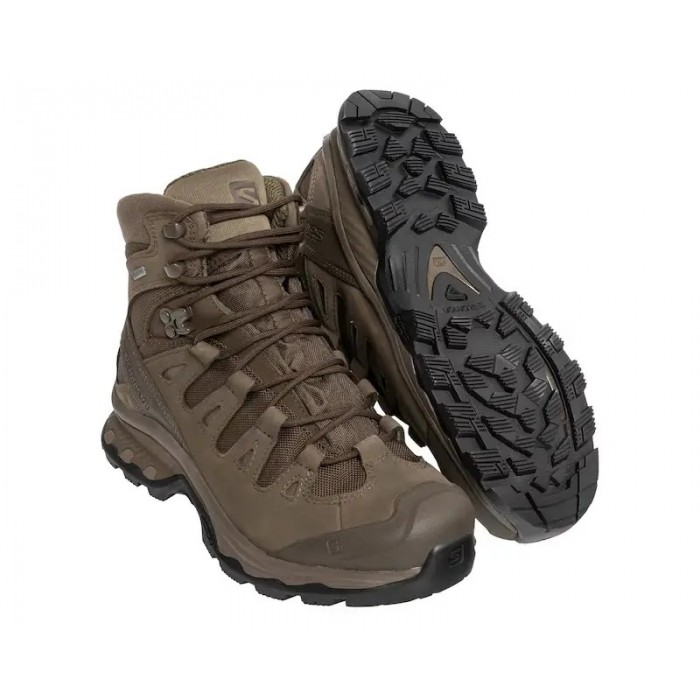 Ботинки Salomon QUEST 4D GTX Forces 2 EN, Brown Ботинки Salomon QUEST 4D GTX Forces 2 EN, Brown