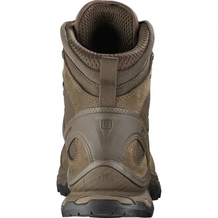 Ботинки Salomon QUEST 4D GTX Forces 2 EN, Brown Ботинки Salomon QUEST 4D GTX Forces 2 EN, Brown