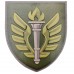 Шеврон ЗСУ 199 навчальний центр, MultiCam